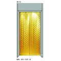 Elevator Decorative Landing Door Panels